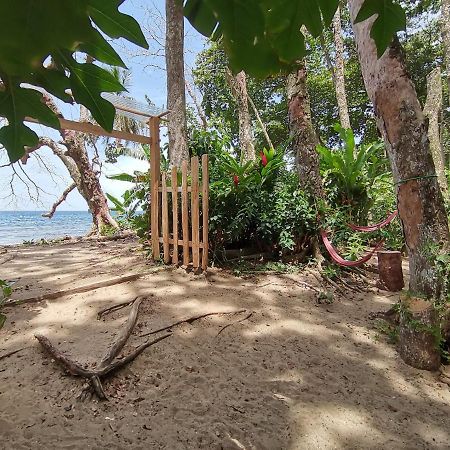 Oasis Albergue Puerto Viejo de Talamanca Exterior foto