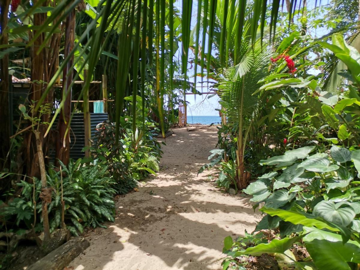 Oasis Albergue Puerto Viejo de Talamanca Exterior foto