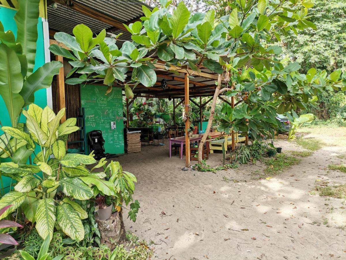 Oasis Albergue Puerto Viejo de Talamanca Exterior foto