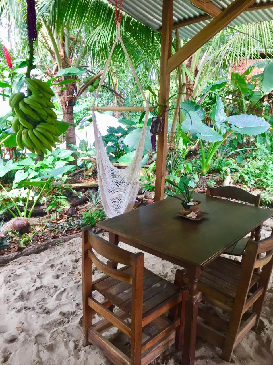 Oasis Albergue Puerto Viejo de Talamanca Exterior foto