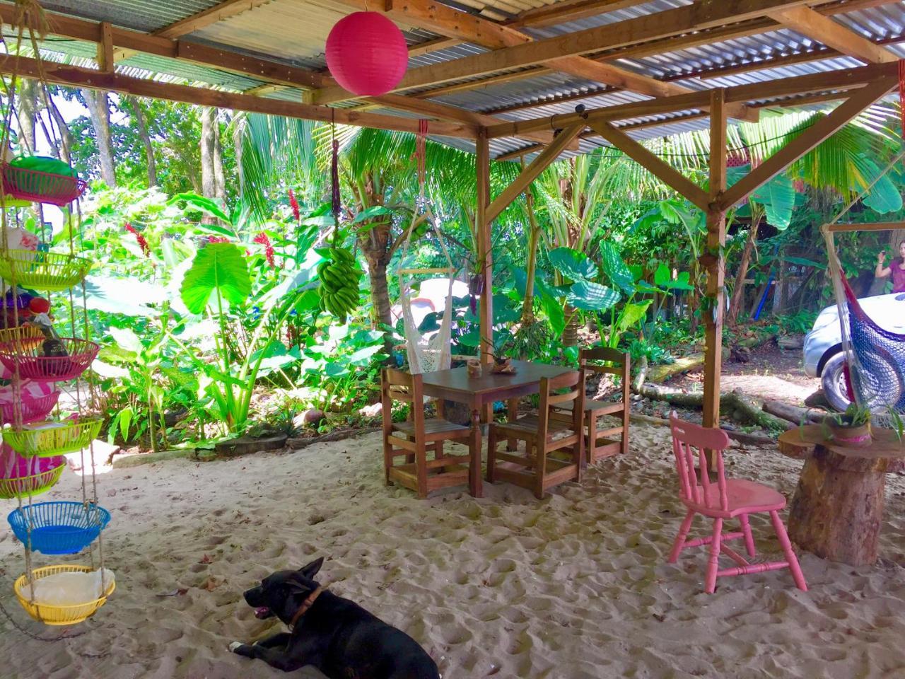 Oasis Albergue Puerto Viejo de Talamanca Exterior foto